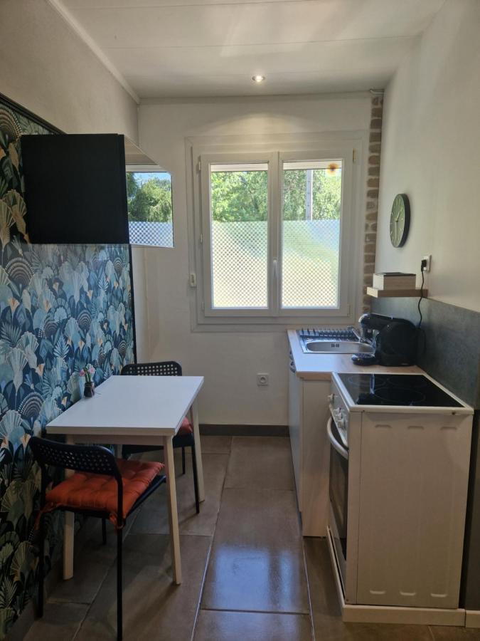 Appartement Independant Dans Maison Avec Jardinet, Au Calme Sérézin-du-Rhône Kültér fotó